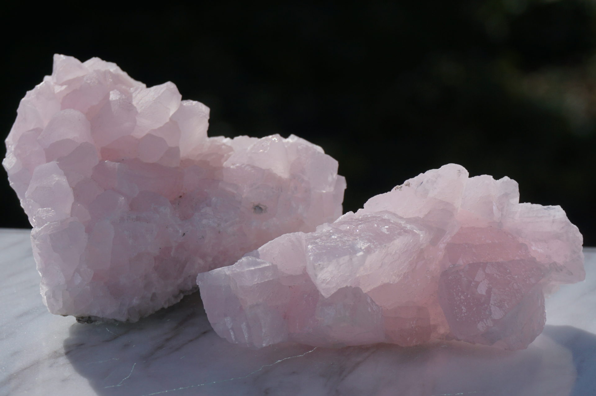 ★1/10アップ済★ ピンクカルサイト