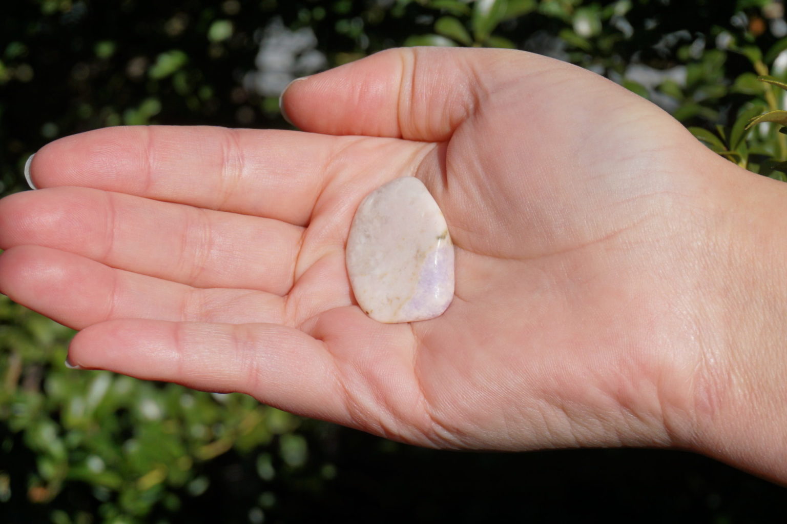 a-prairie-tanzanite05