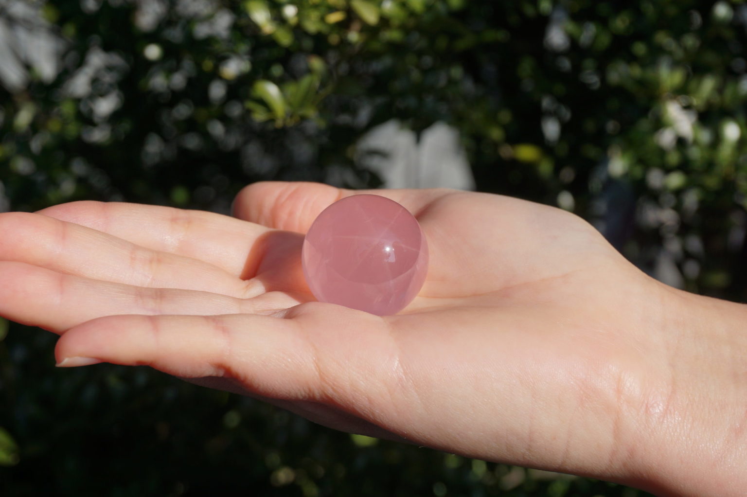 スターディープローズクォーツ【高品質・希少】 - リアファル