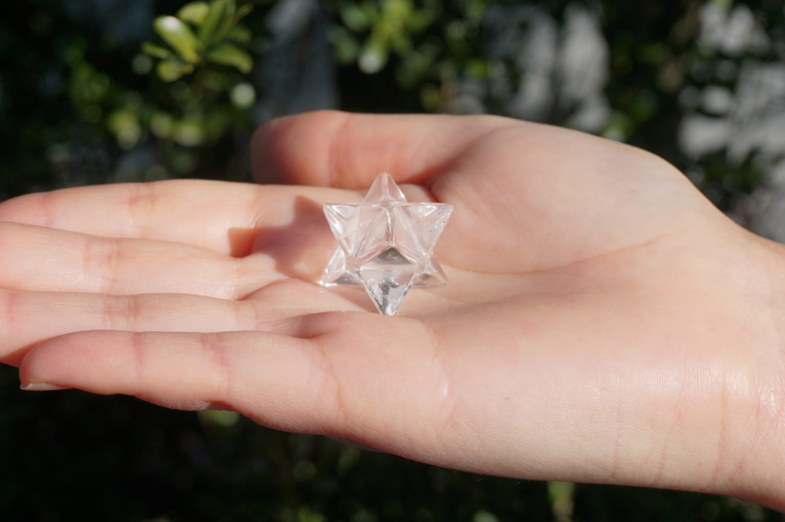 ピュアレイ（レムリアンシード） マカバスター - リアファル