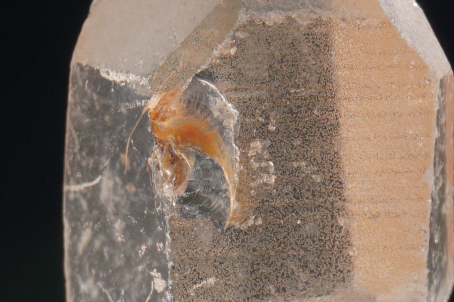 brazil-pink-lemurian-o03