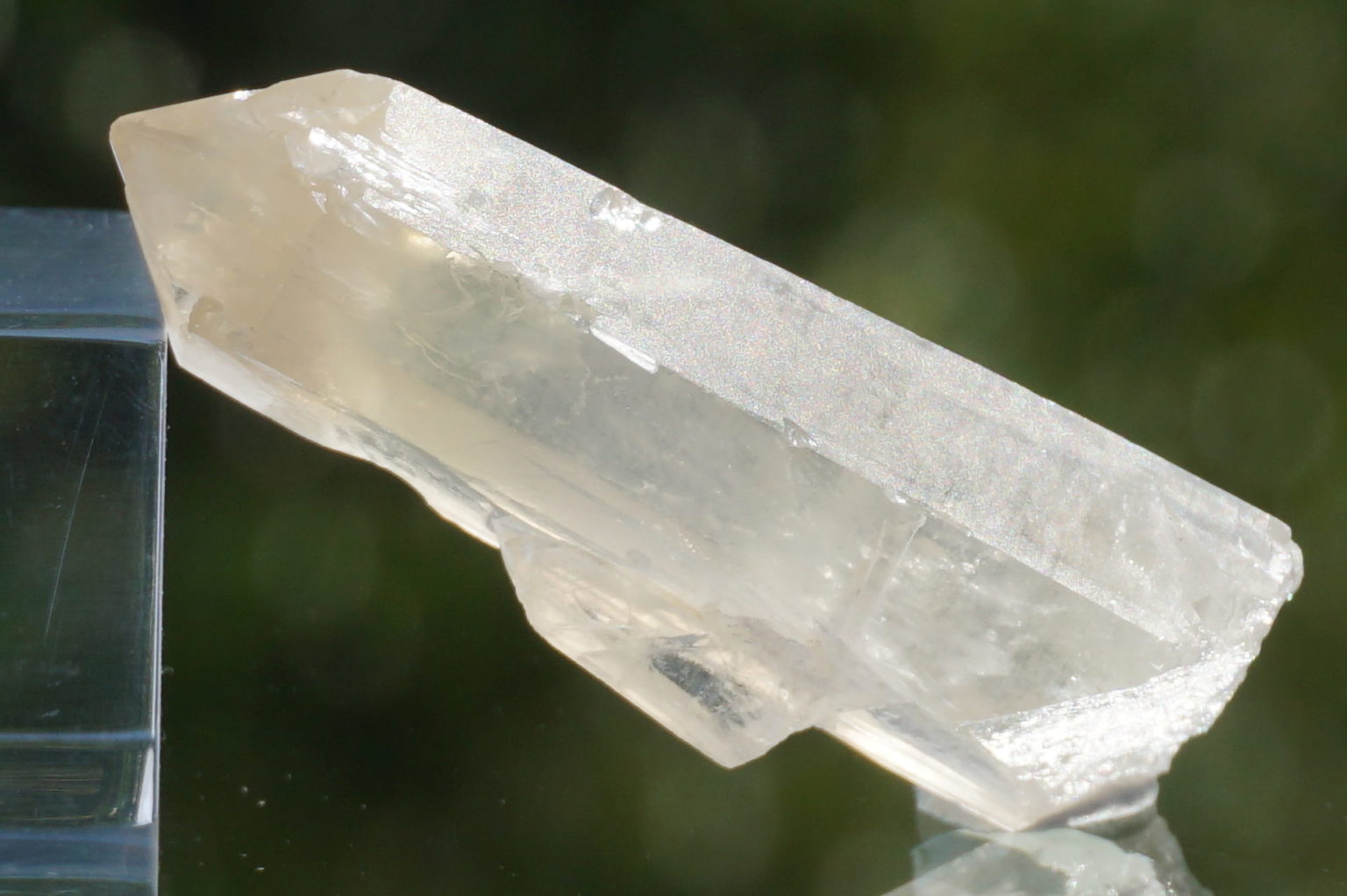 2012crystal-citrin17