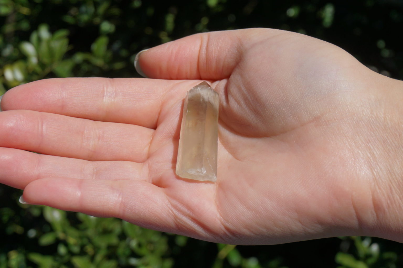 2012crystal-citrin17