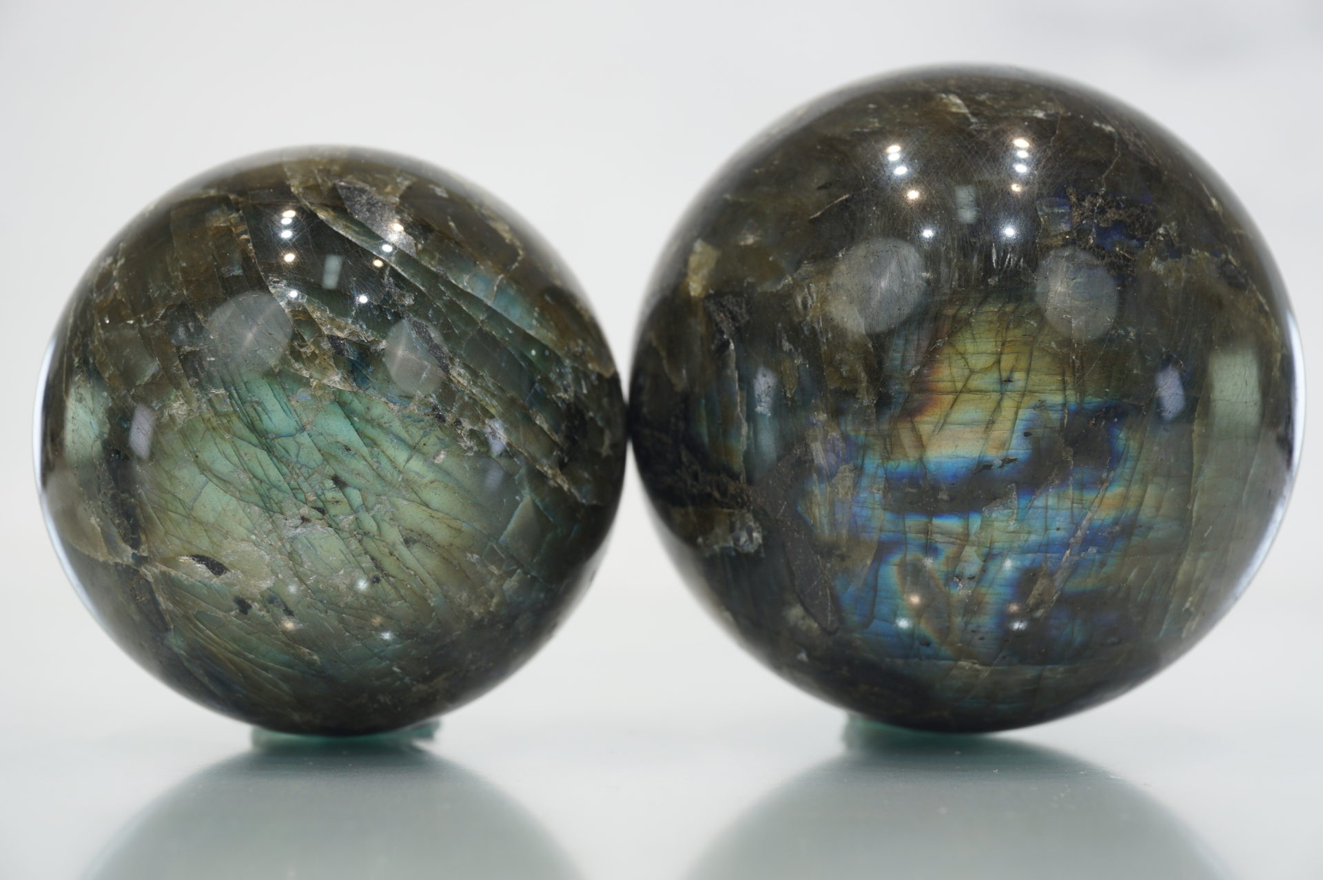 ★予告★心機一転！「春の新生活応援・特別企画」