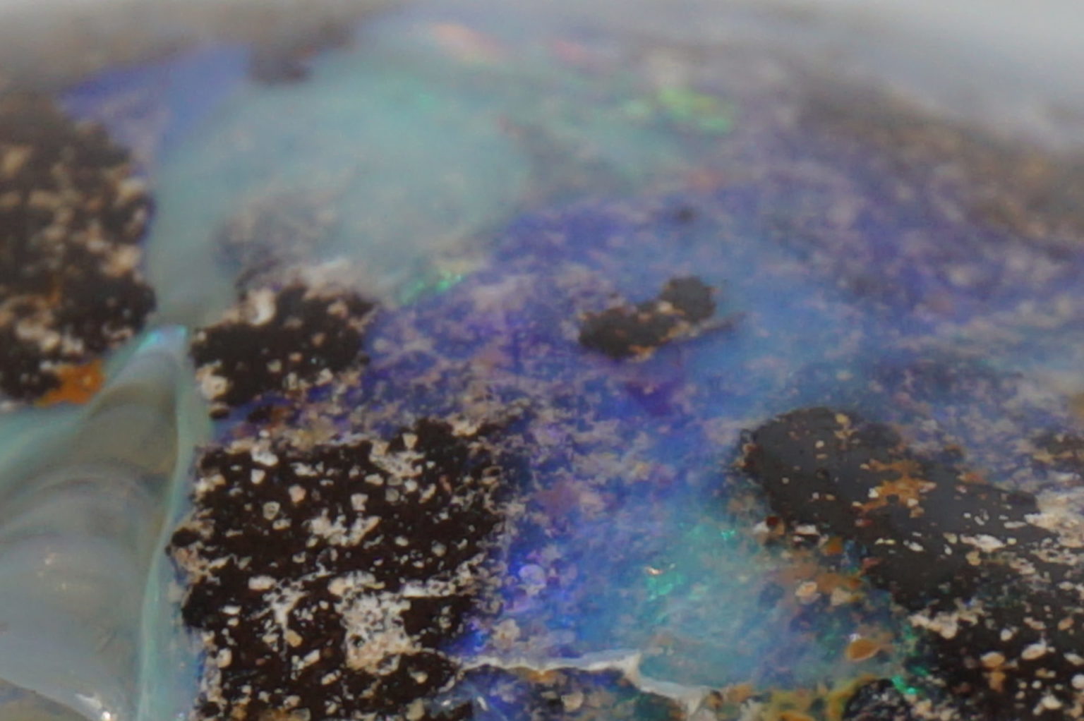 australia-boulder-opal04