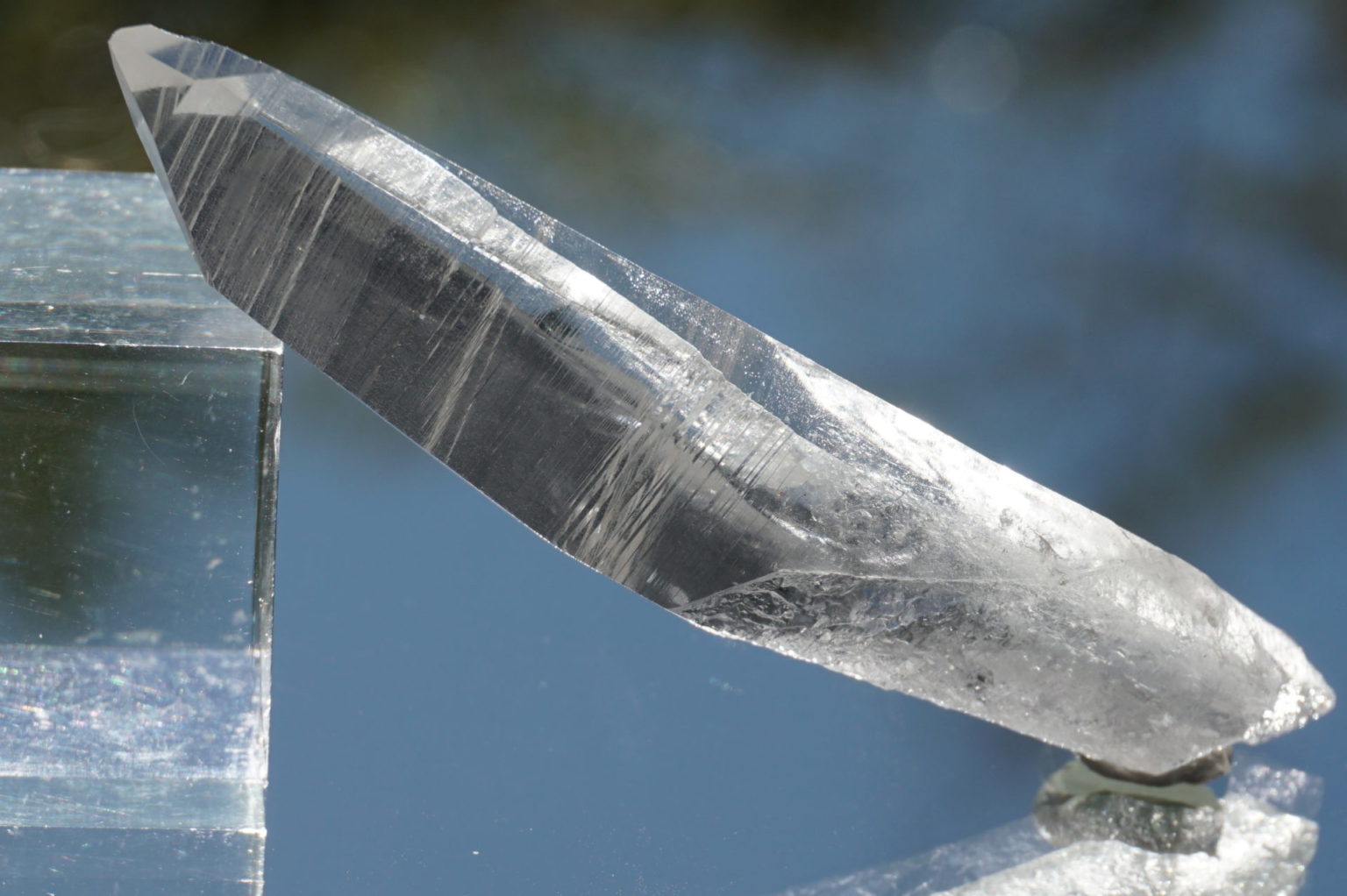 bahia-lemurain-natural-top12