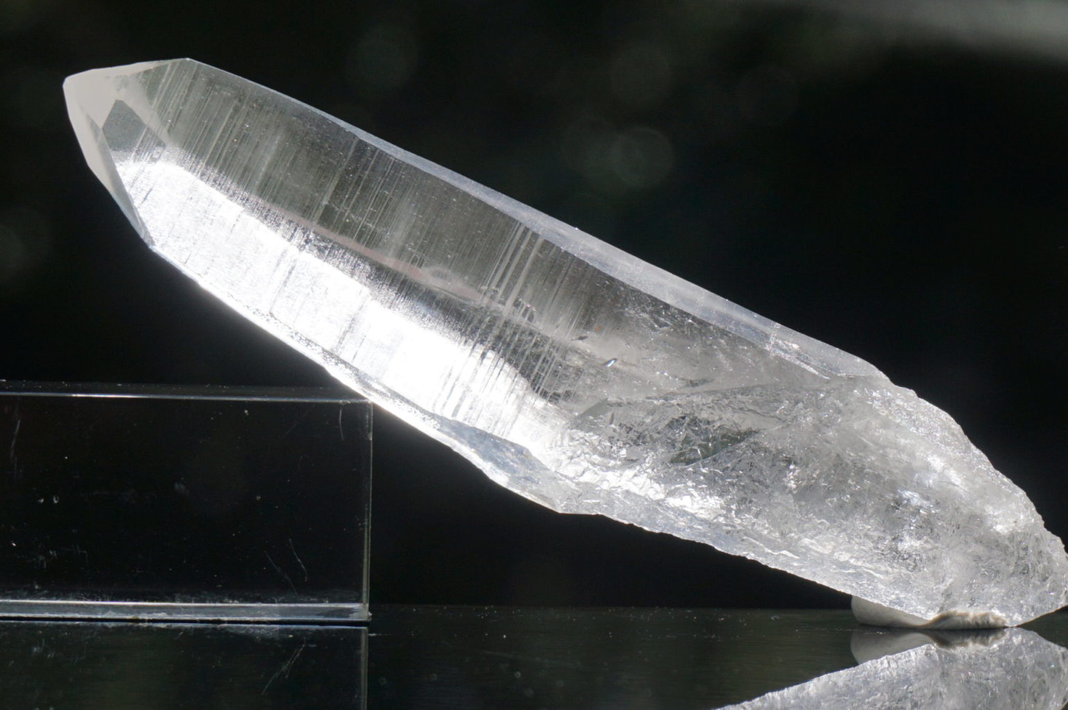 bahia-lemurain-natural-top12