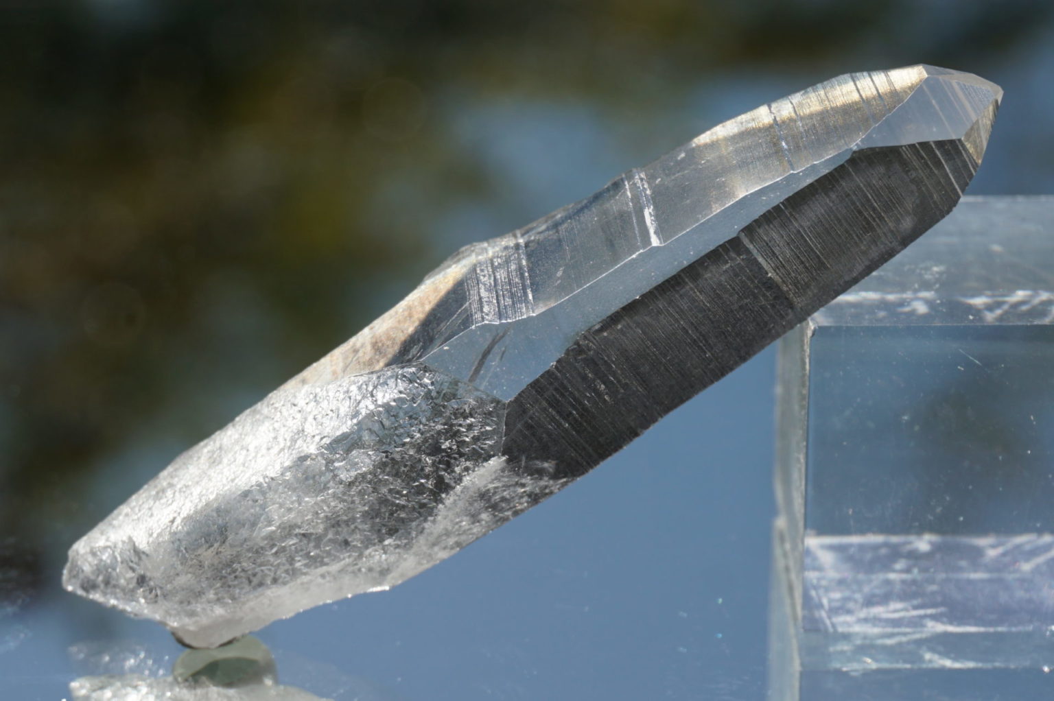 bahia-lemurain-natural-top12