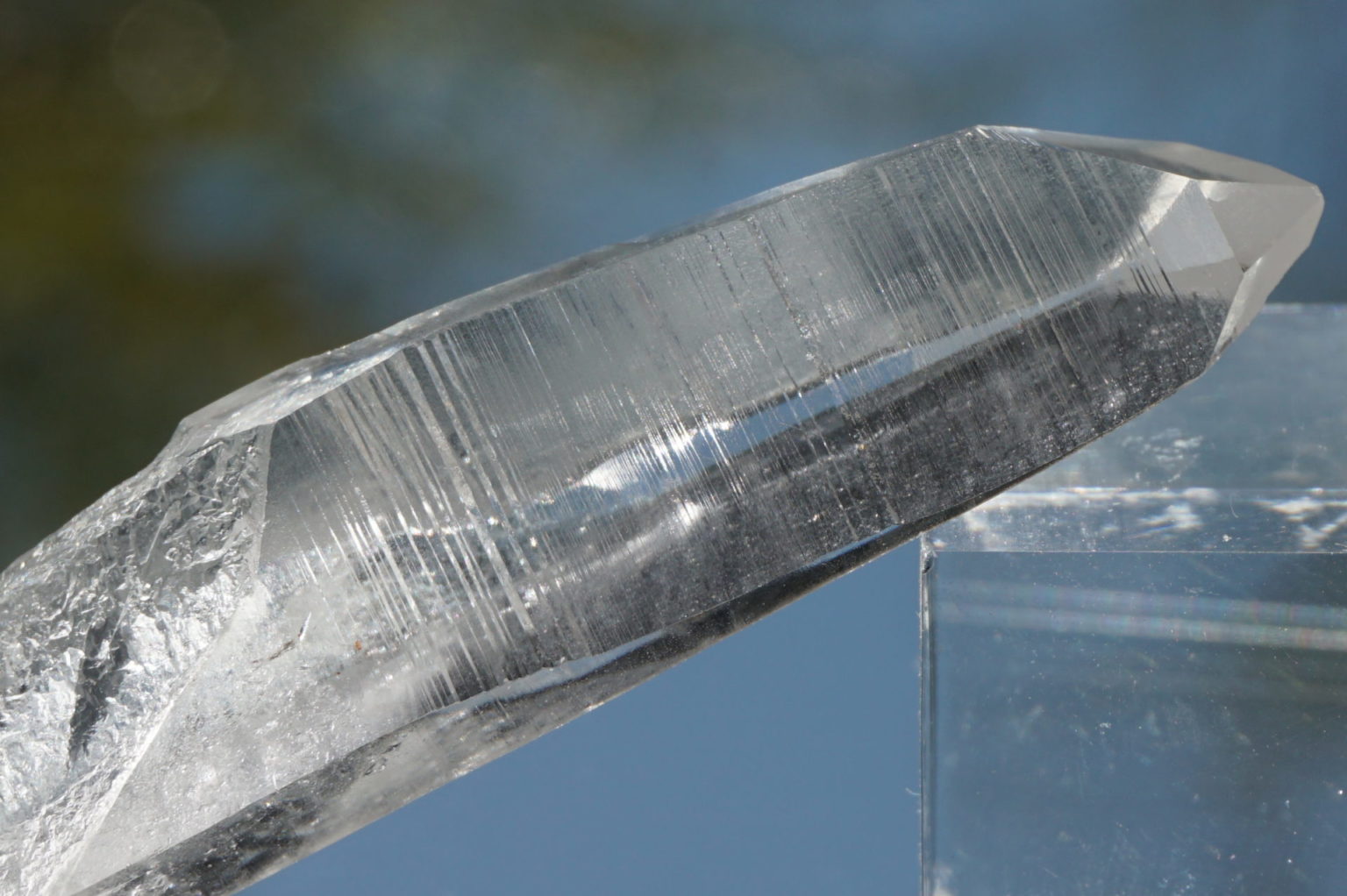 bahia-lemurain-natural-top12