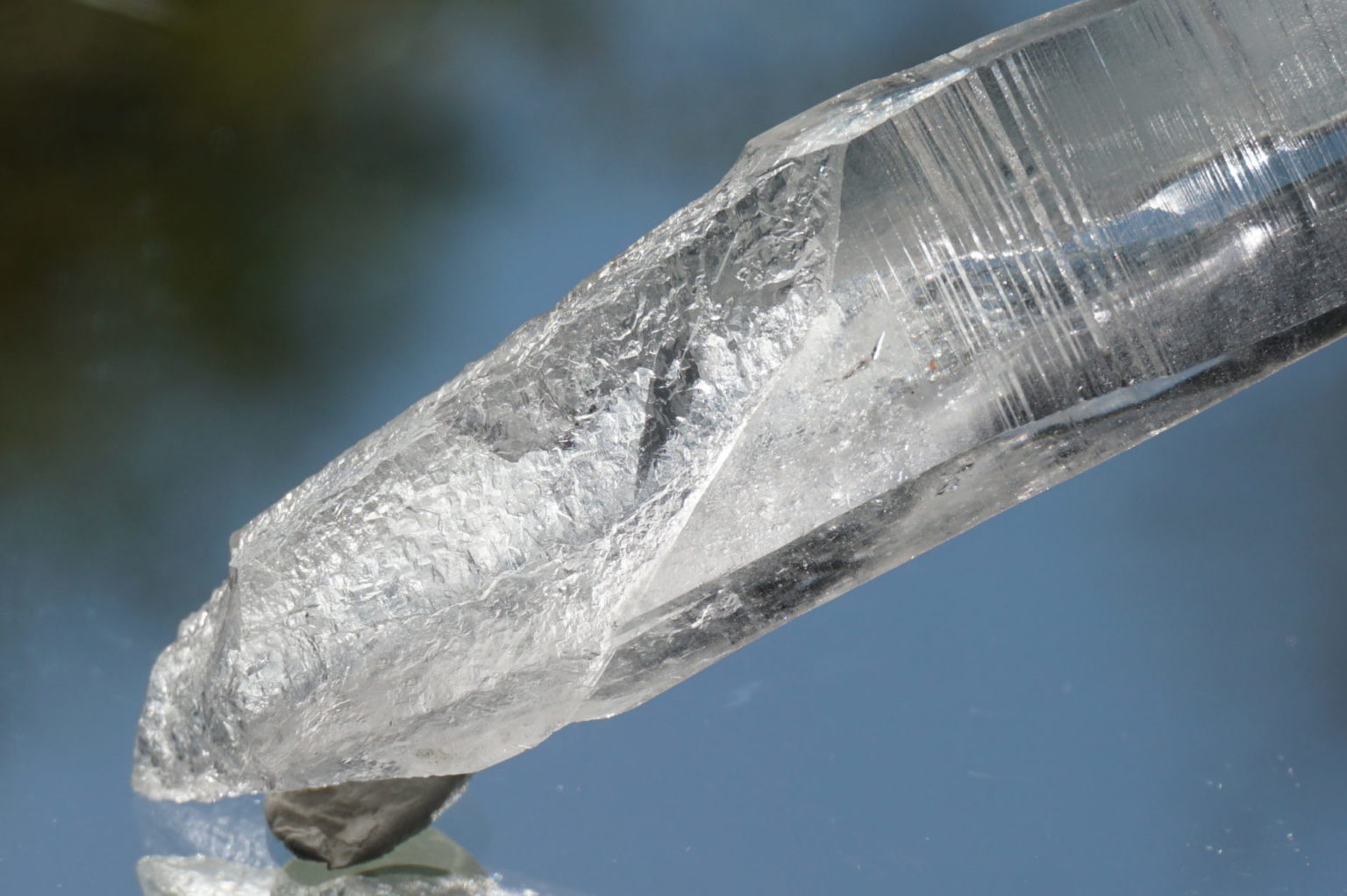 bahia-lemurain-natural-top12