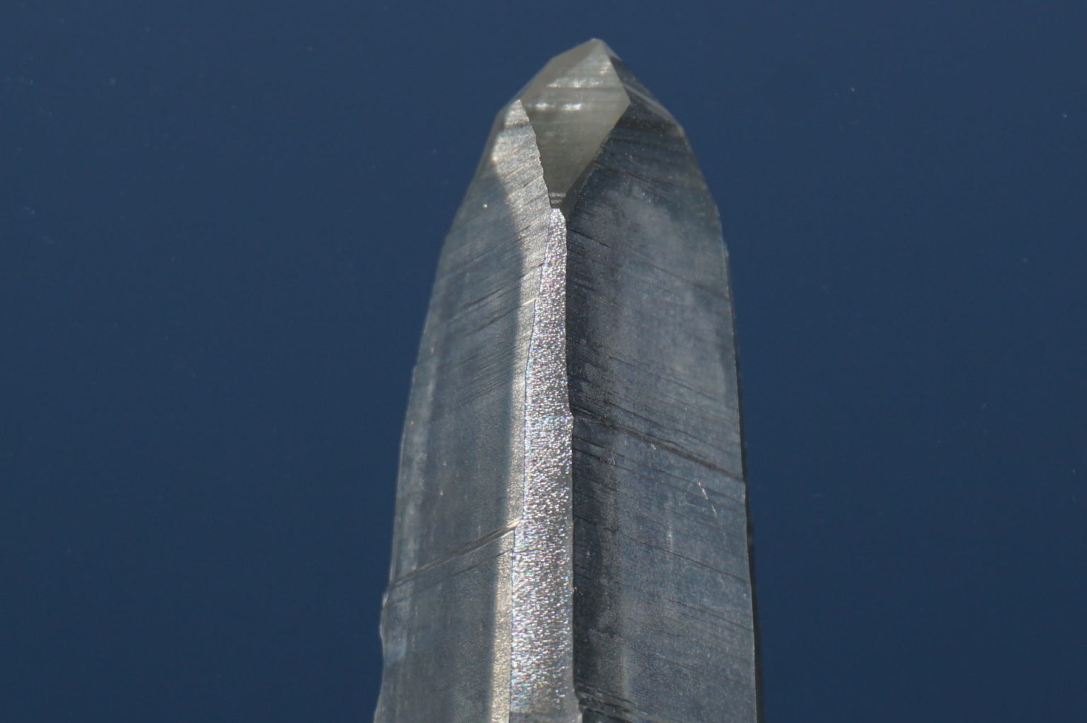 bahia-lemurain-natural-top12