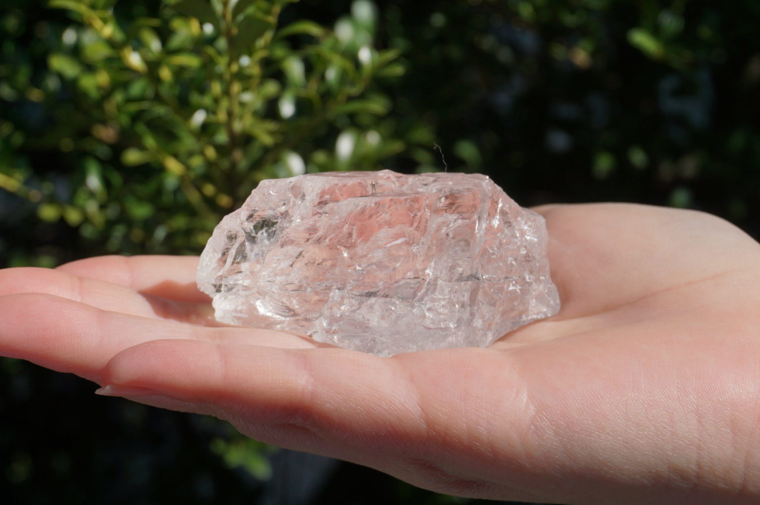 bahia-lemurain-rough12