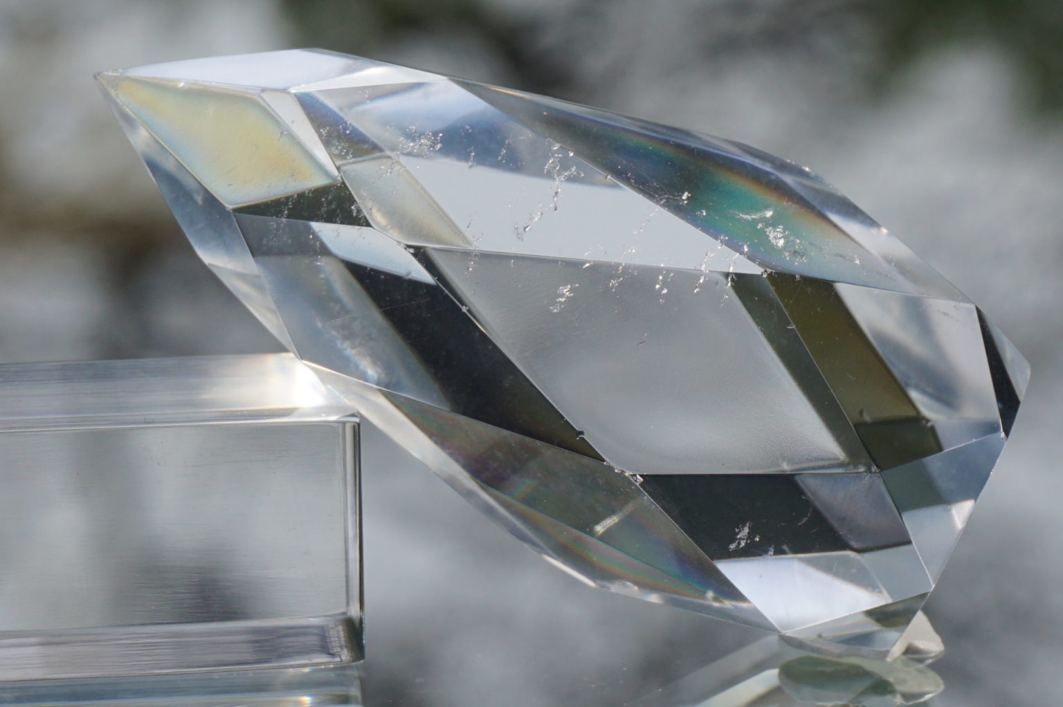 c-egg-cut-lemurian08