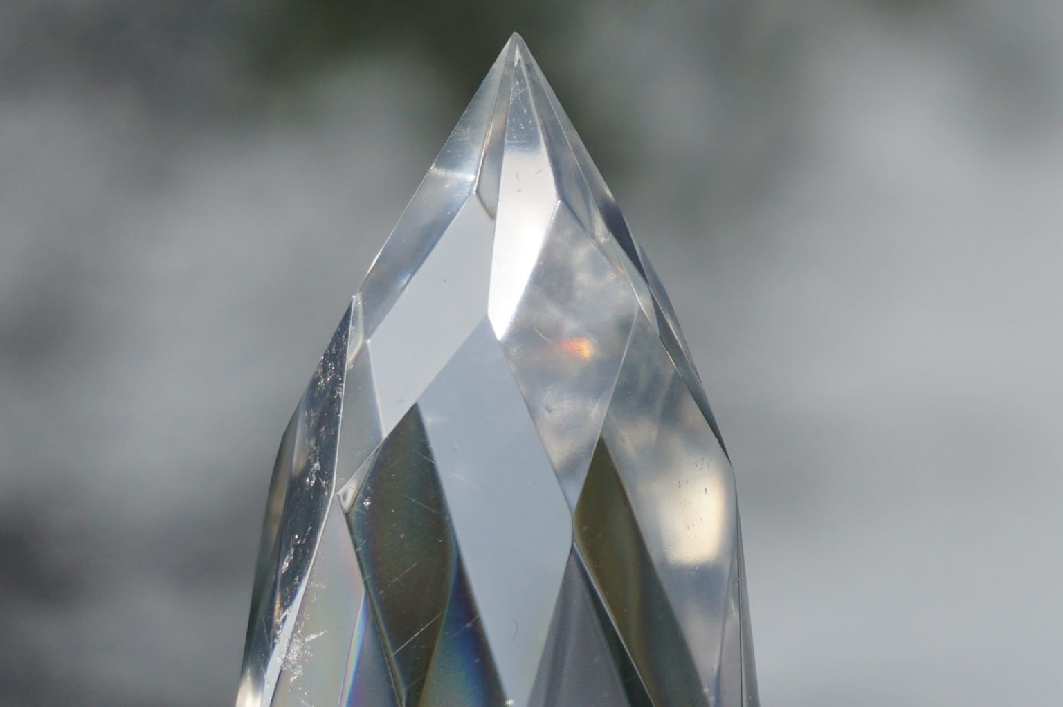 c-egg-cut-lemurian08