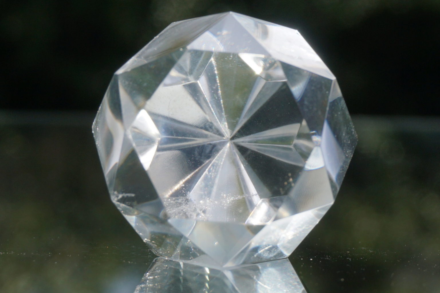 c-egg-cut-lemurian08