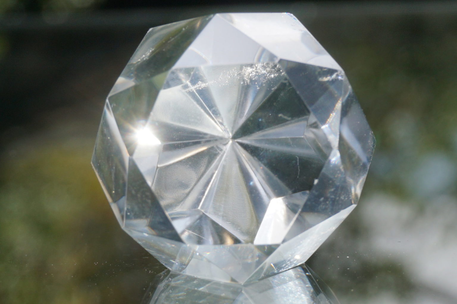 c-egg-cut-lemurian08