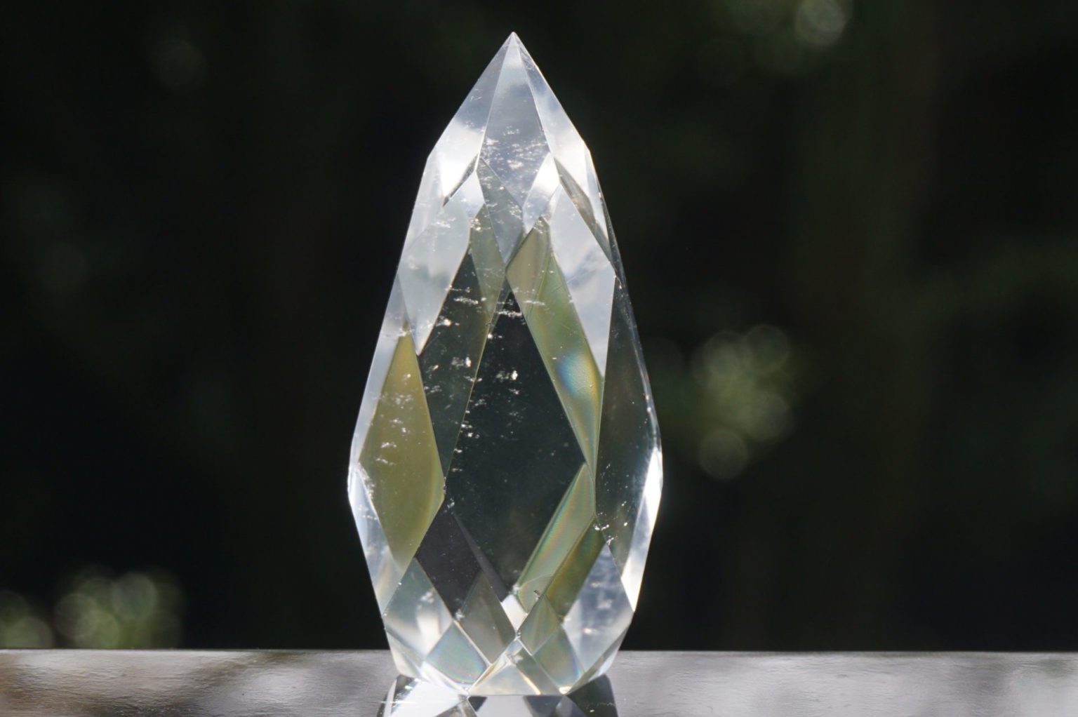 c-egg-cut-lemurian08