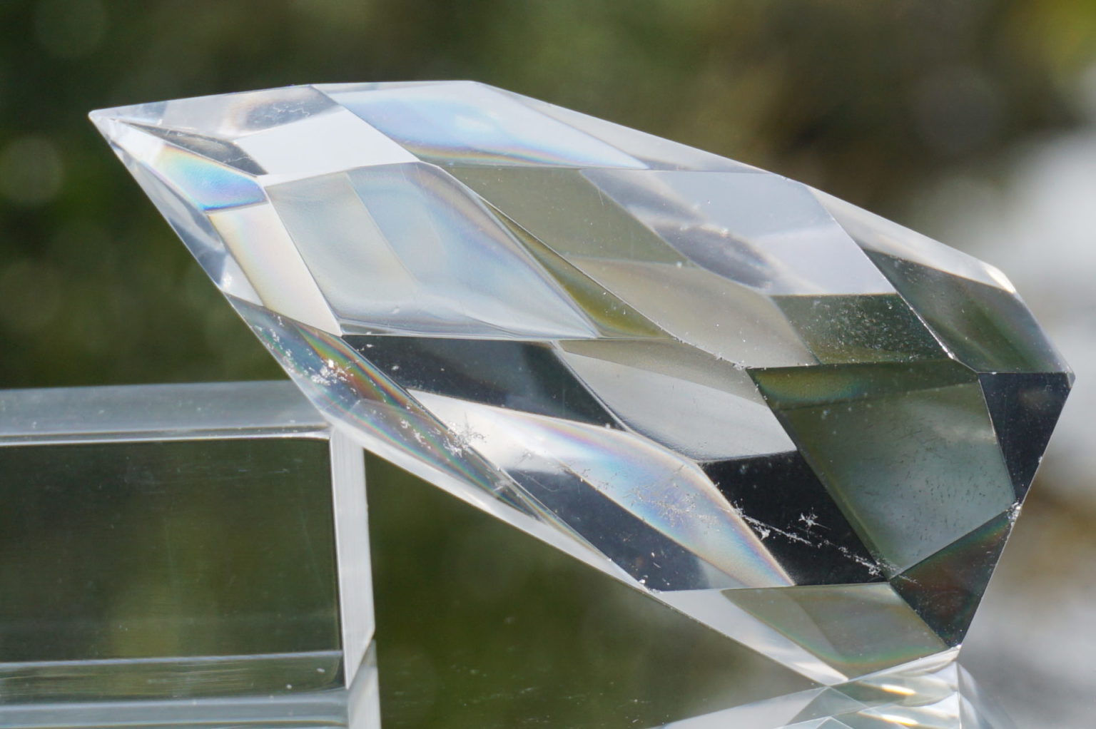 c-egg-cut-lemurian08