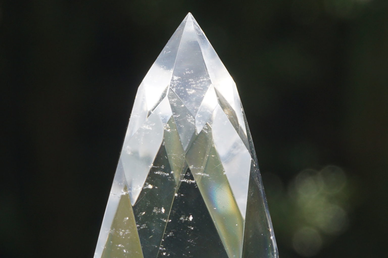 c-egg-cut-lemurian08