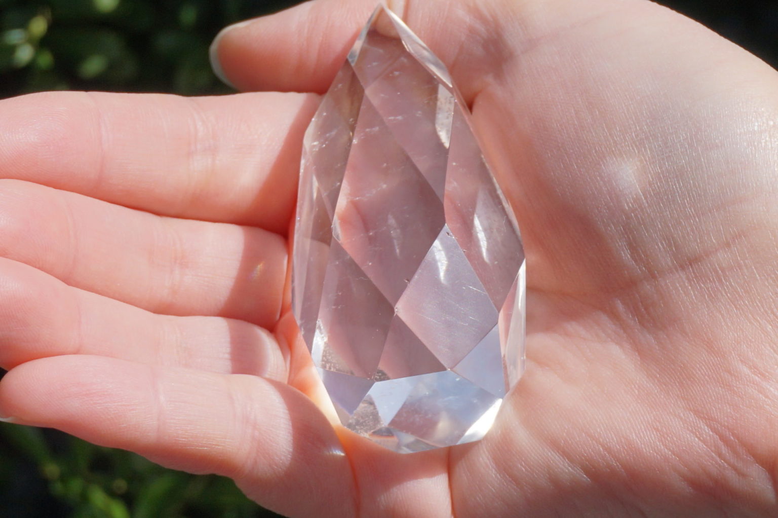 c-egg-cut-lemurian08