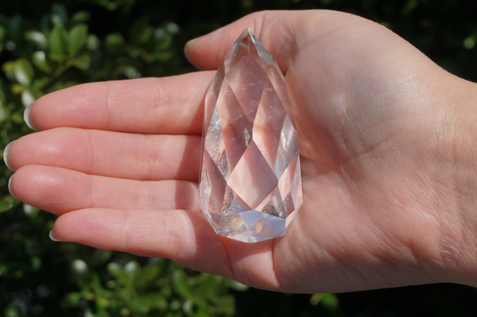 c-egg-cut-lemurian08