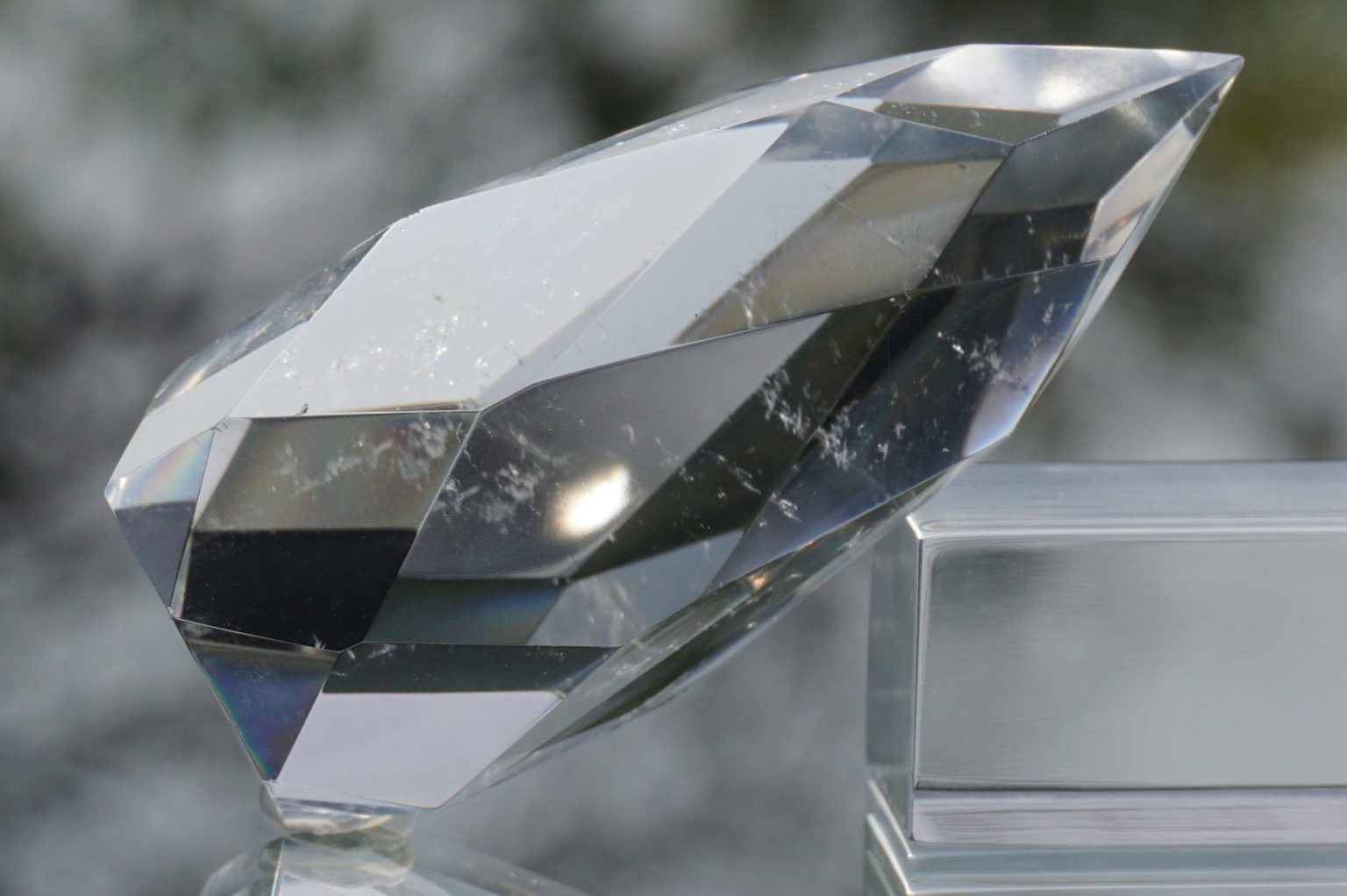 c-egg-cut-lemurian08