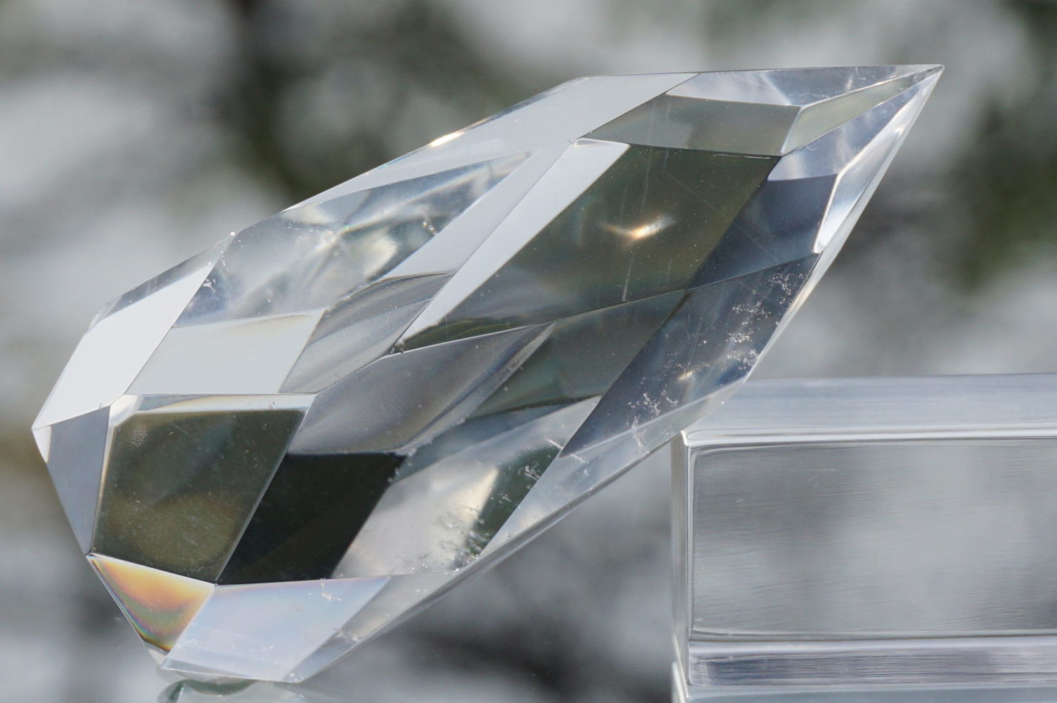 c-egg-cut-lemurian08