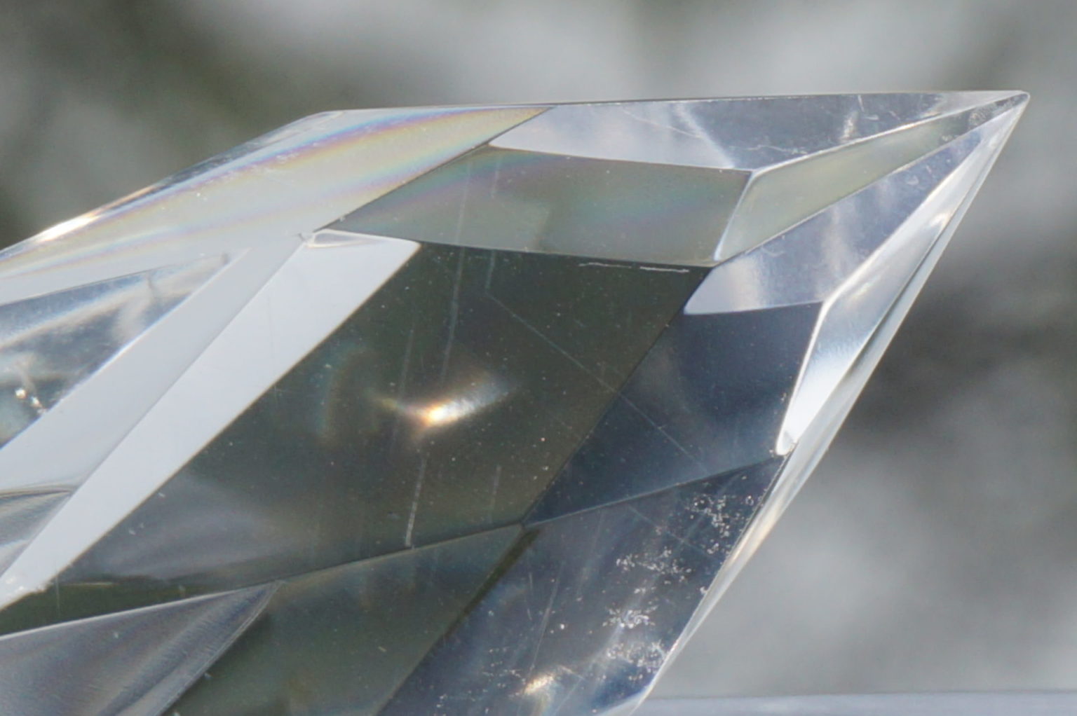 c-egg-cut-lemurian08