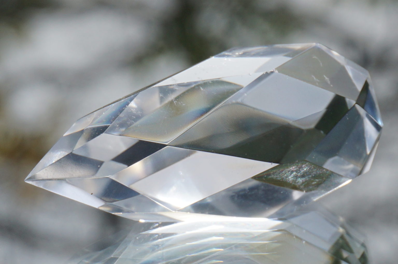 c-egg-cut-lemurian08