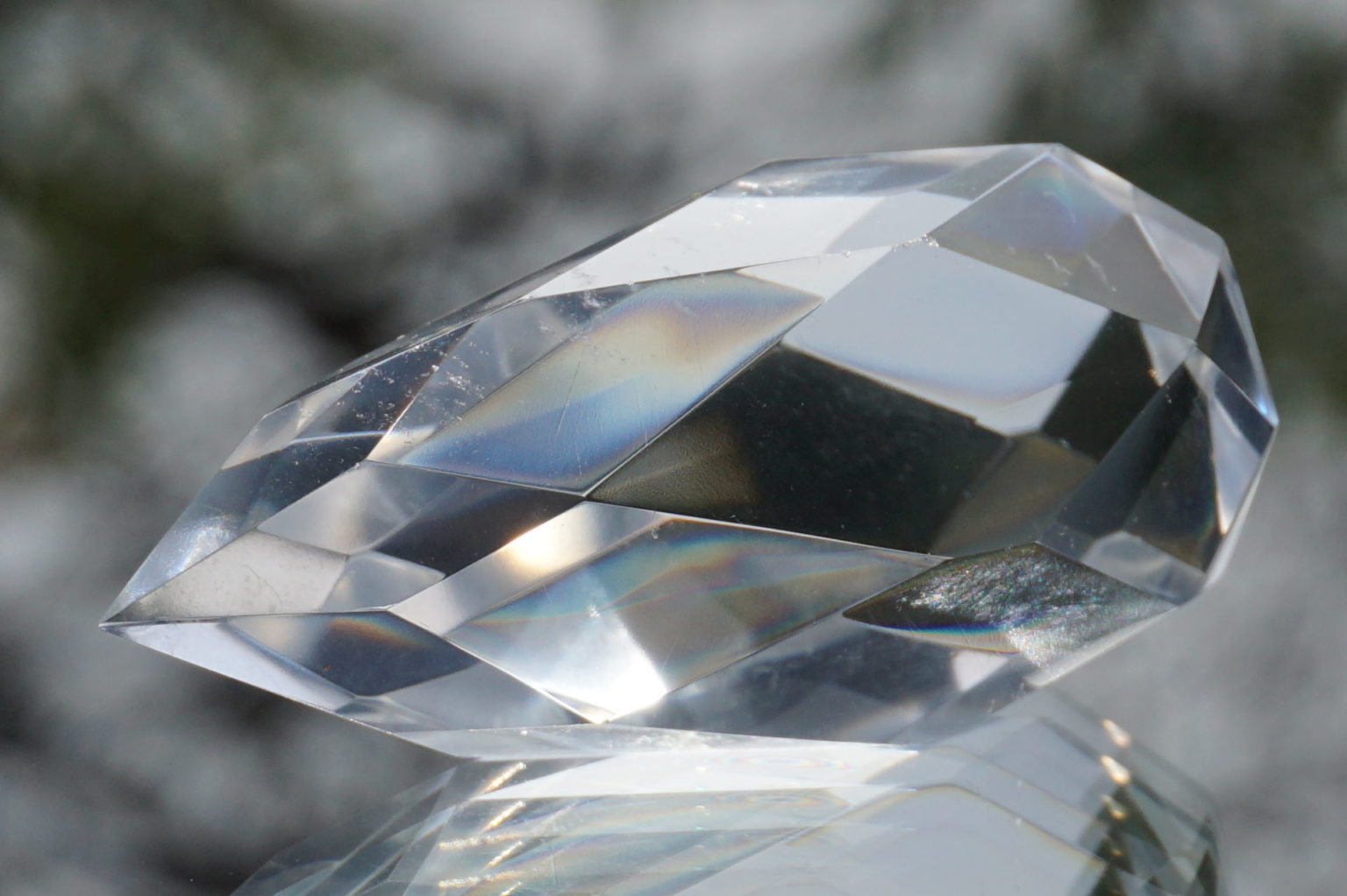 c-egg-cut-lemurian08