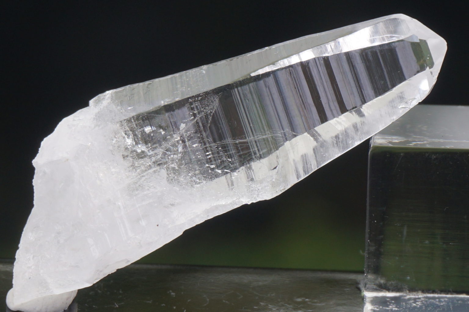 sentient-plasma-crystal66