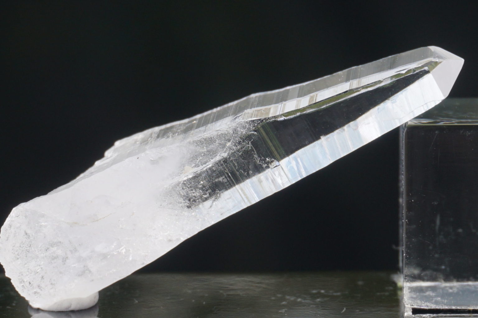 sentient-plasma-crystal66