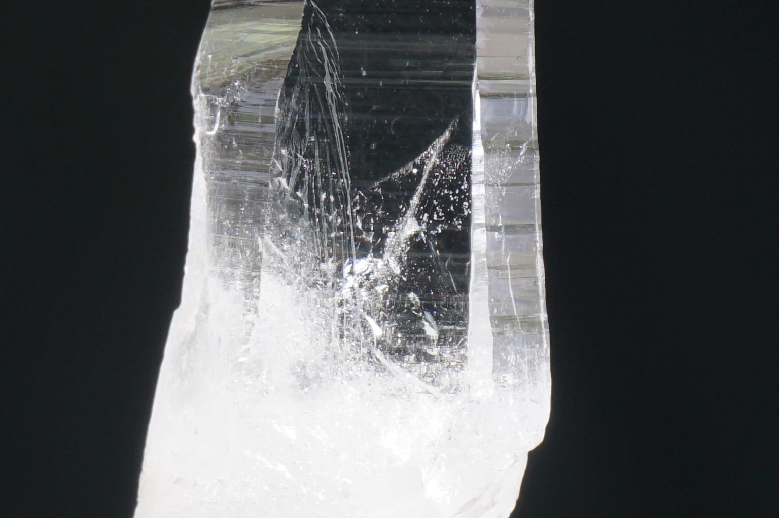 sentient-plasma-crystal66