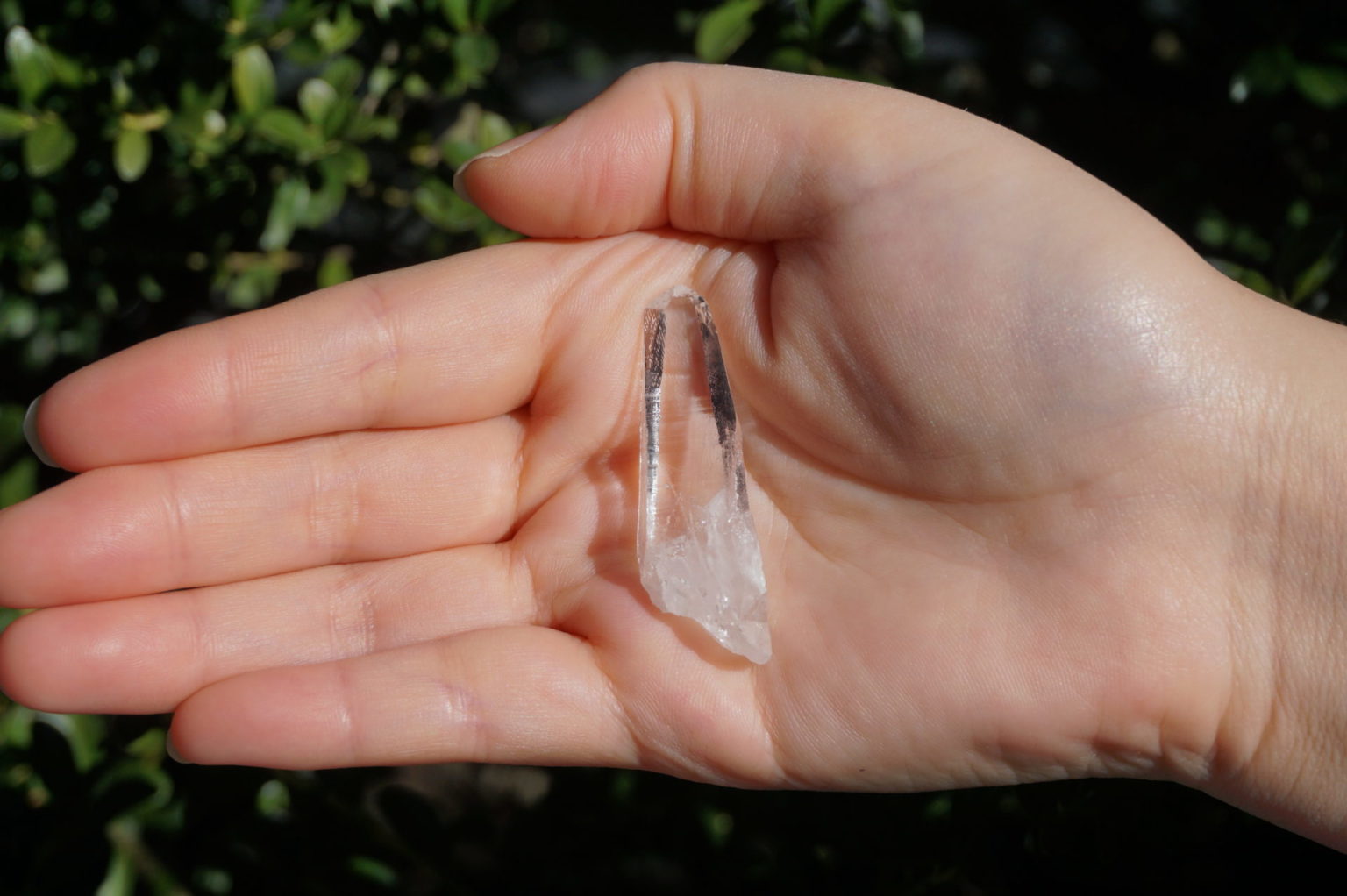 sentient-plasma-crystal66