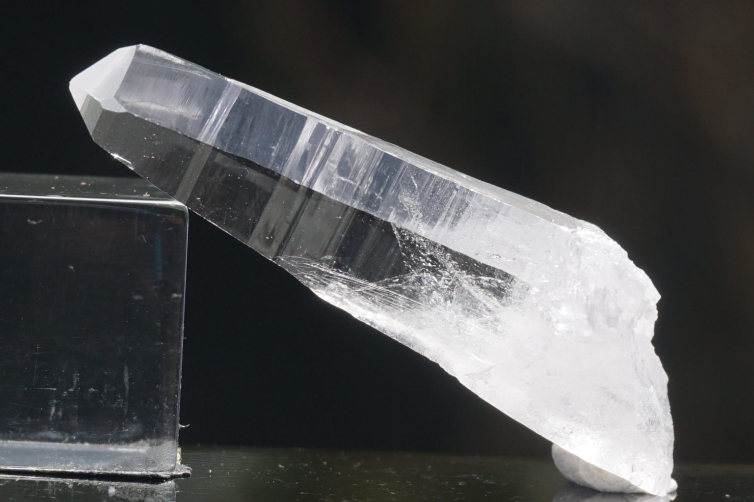 sentient-plasma-crystal66