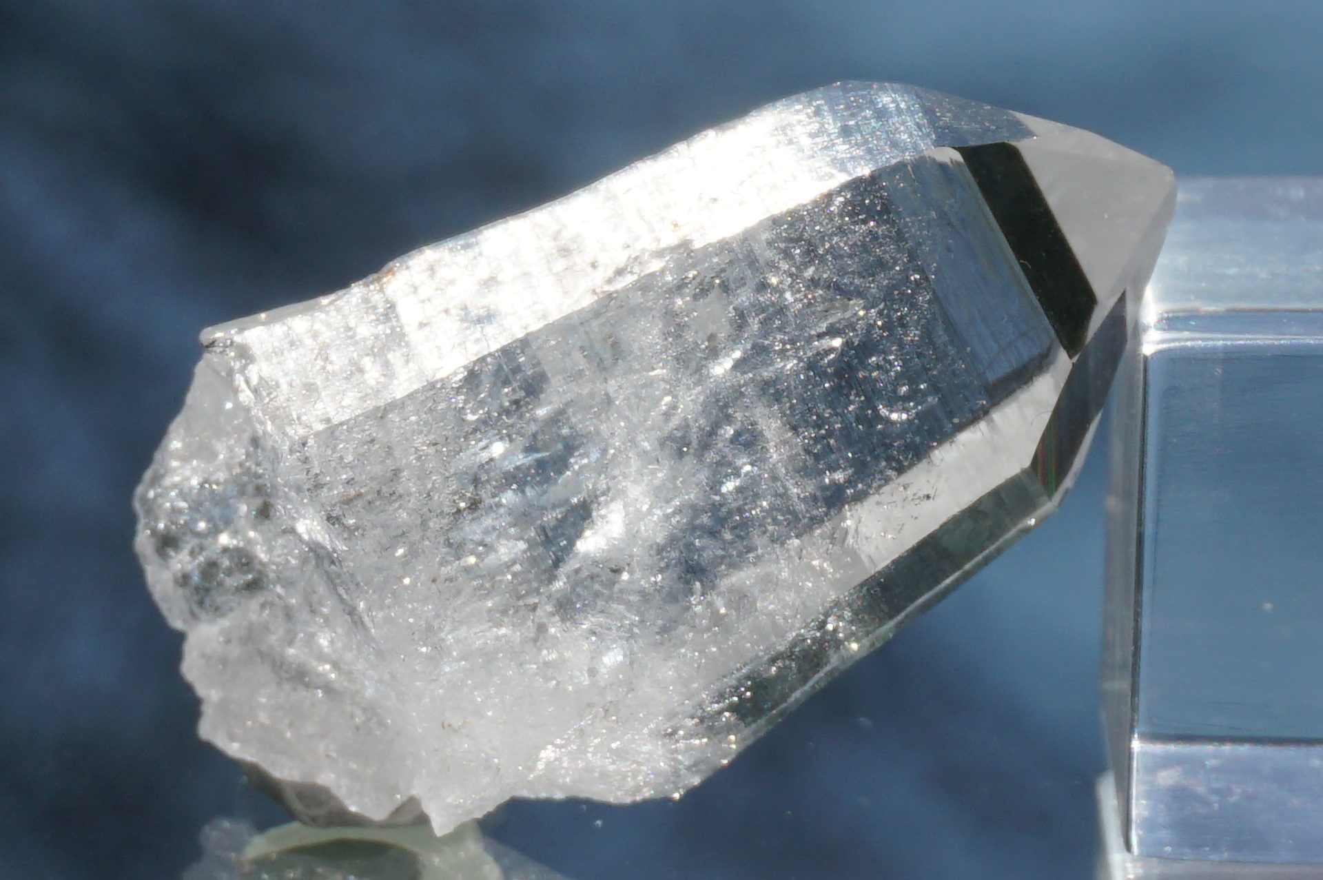 sentient-plasma-crystal67