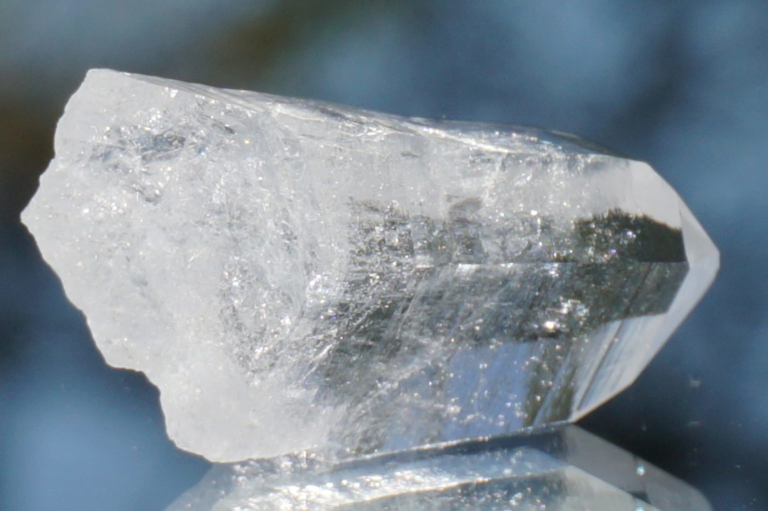 sentient-plasma-crystal67