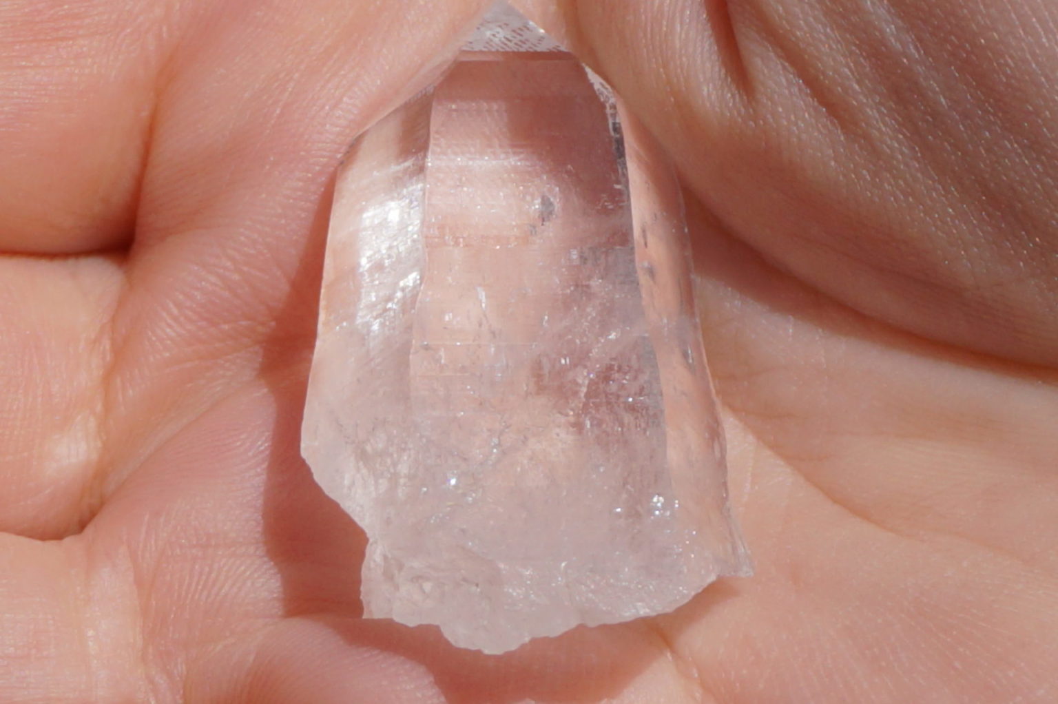 sentient-plasma-crystal67