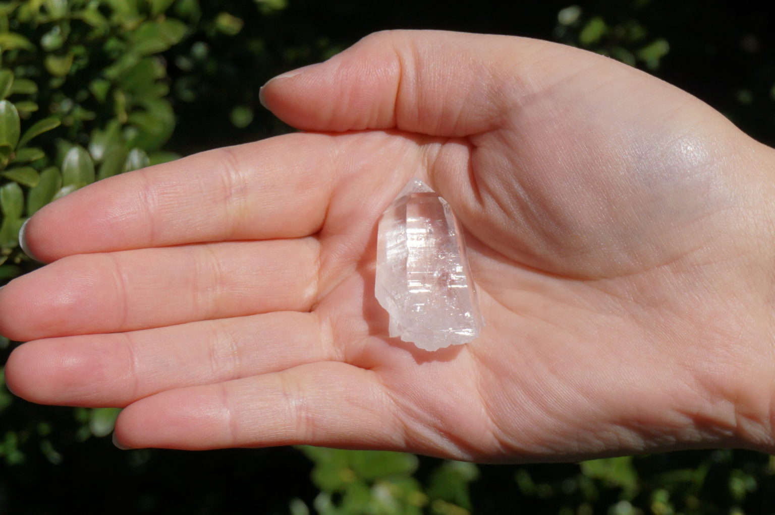 sentient-plasma-crystal67