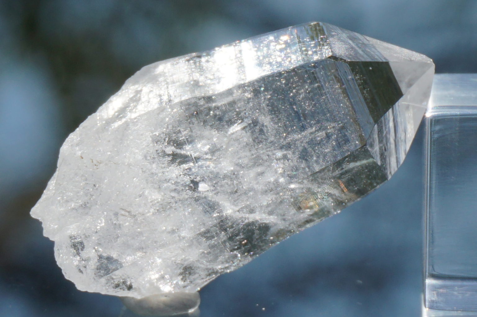 sentient-plasma-crystal67