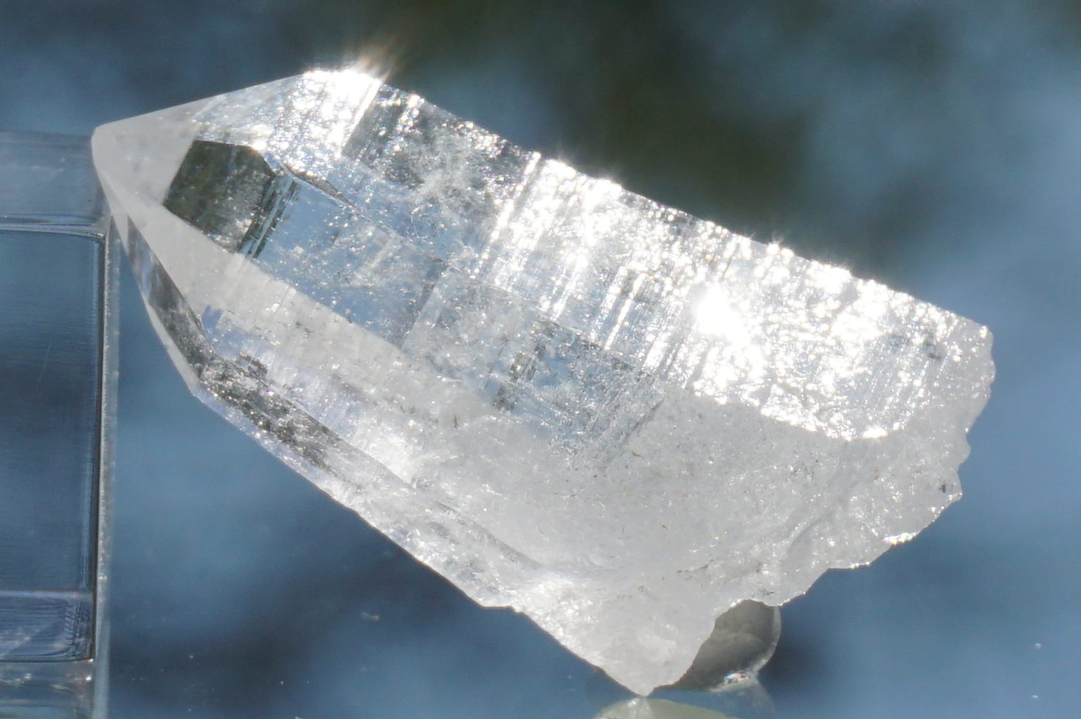 sentient-plasma-crystal67